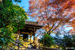 鐘楼と紅葉