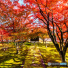 法姿園の紅葉