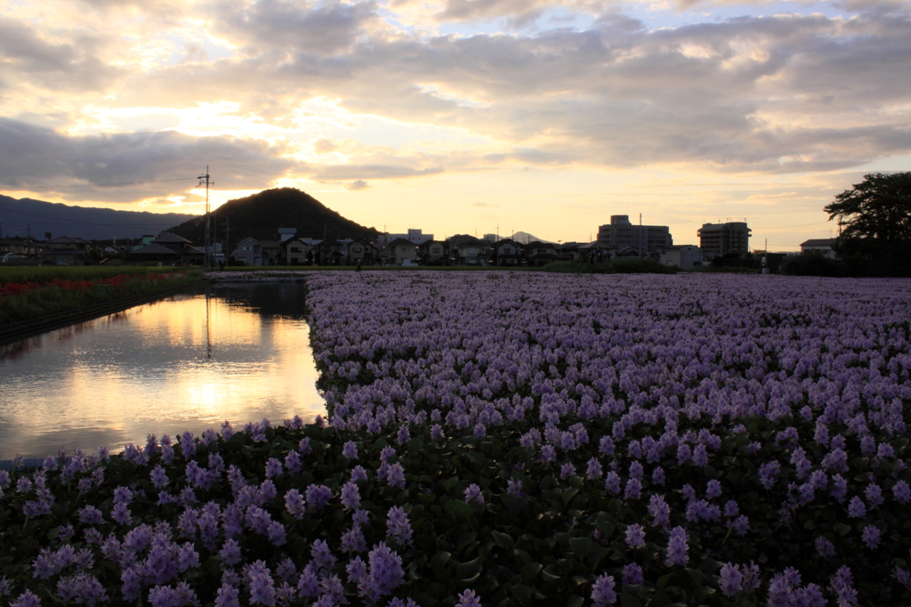 畝傍山の夕焼け