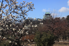 大阪城梅林