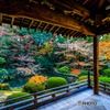 静寂な隋心院