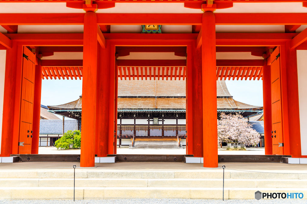 京都御所の春景