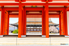 京都御所の春景