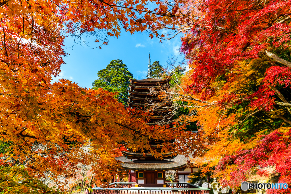 談山紅葉リース