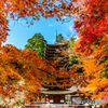 談山紅葉リース