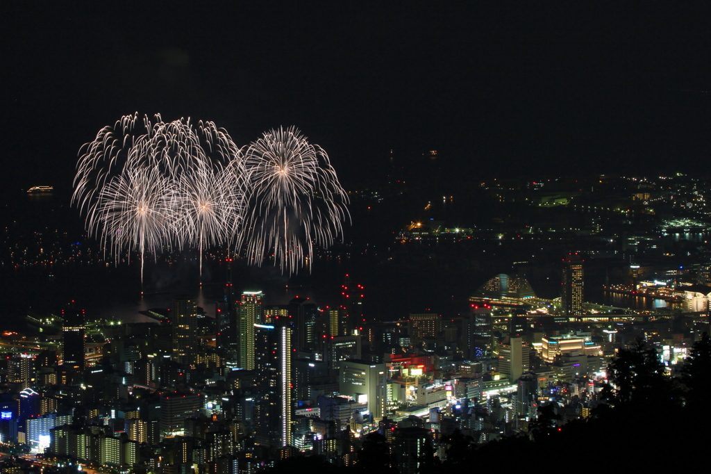 神戸海上の光る白柳