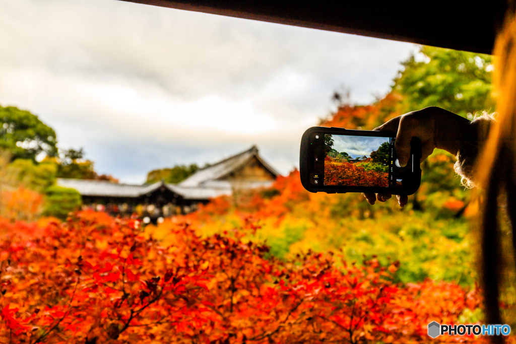 スマホ越しの紅葉