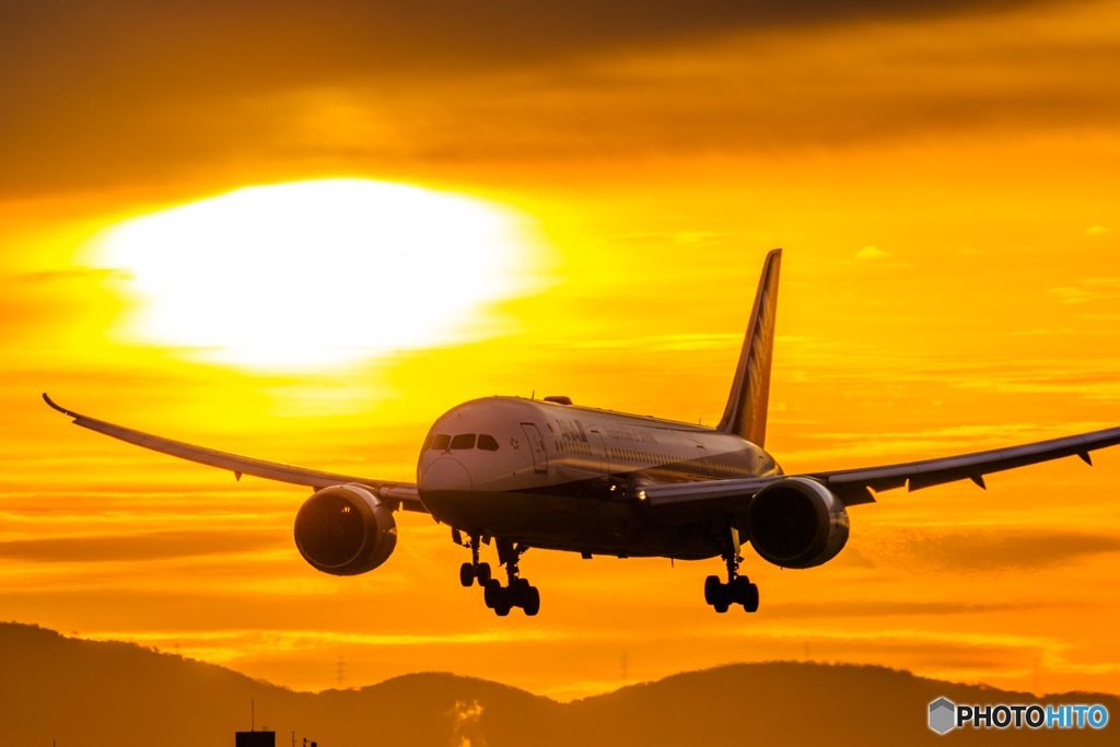 朝活一番機～JA817A