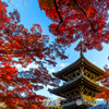 真如堂の紅葉Ⅱ（２０１９）