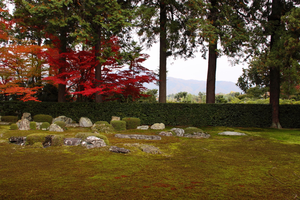 借景の圓通寺