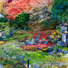 霊鑑寺の庭園