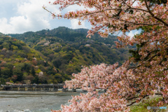 残桜の嵐山
