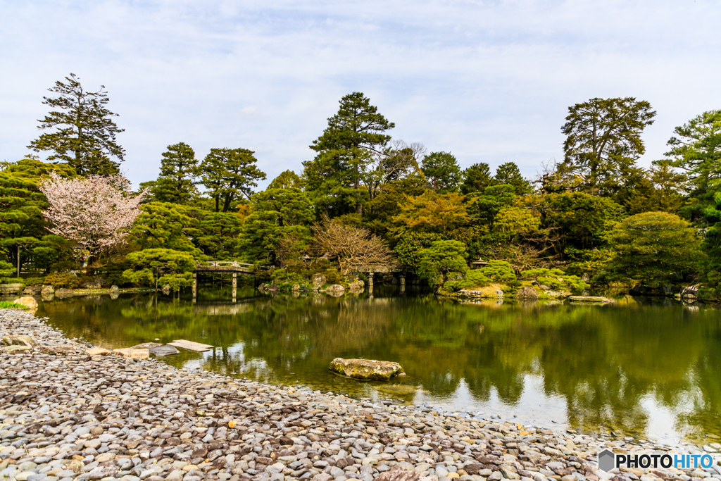 御池庭の春