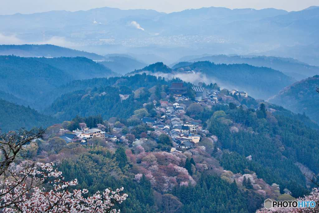 上千本と雲海