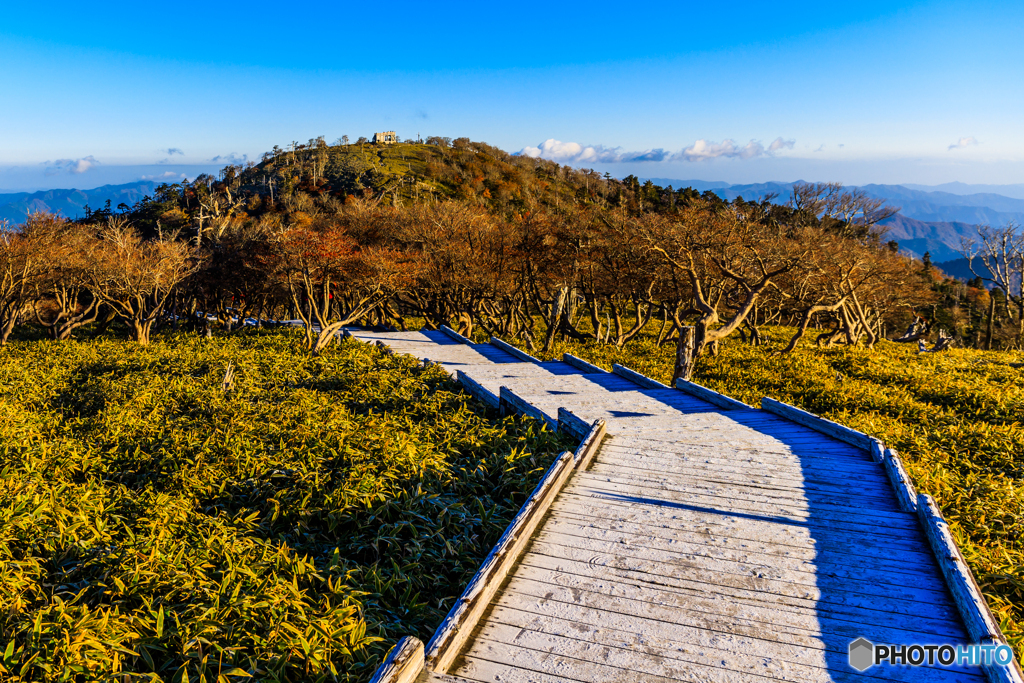 大台ヶ原の最高峰