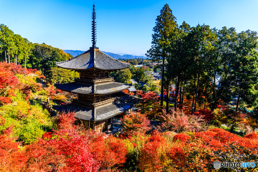 常楽寺の秋景Ⅰ