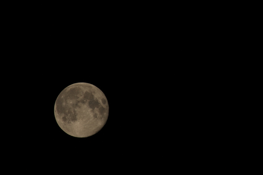 ８月１４日
