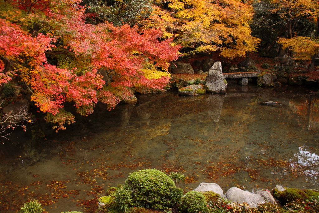 蓮華寺庭園