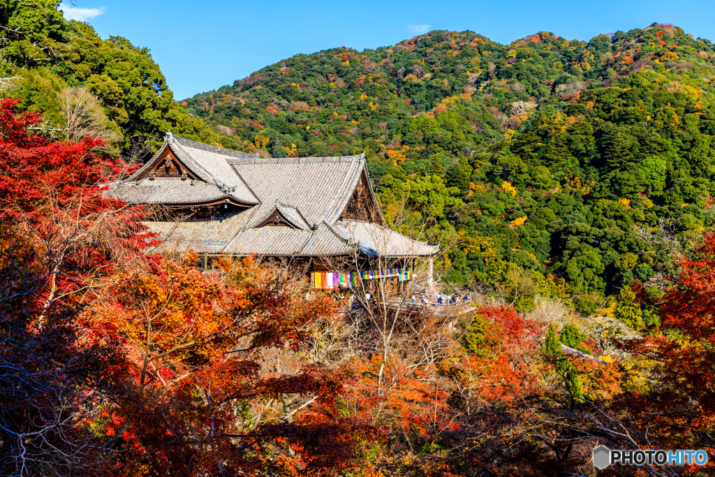 紅葉する本堂