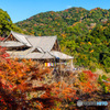 紅葉する本堂