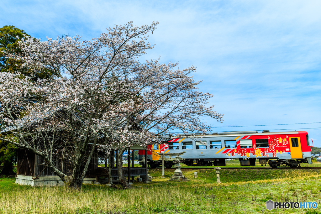 参拝する北条鉄道