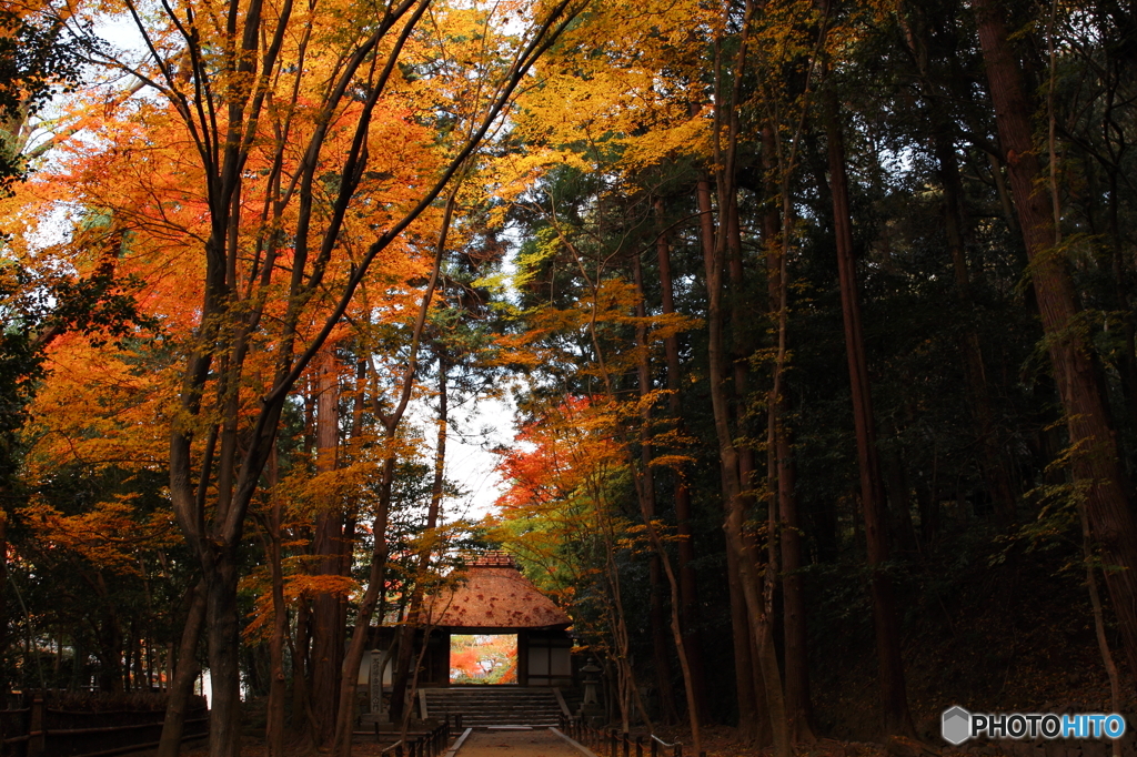 山門のある秋景
