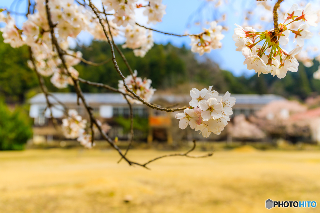 旧下市町小学校