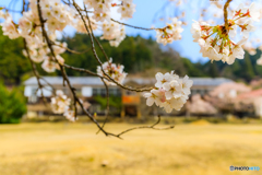 旧下市町小学校