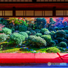 安楽寺の額縁紅葉