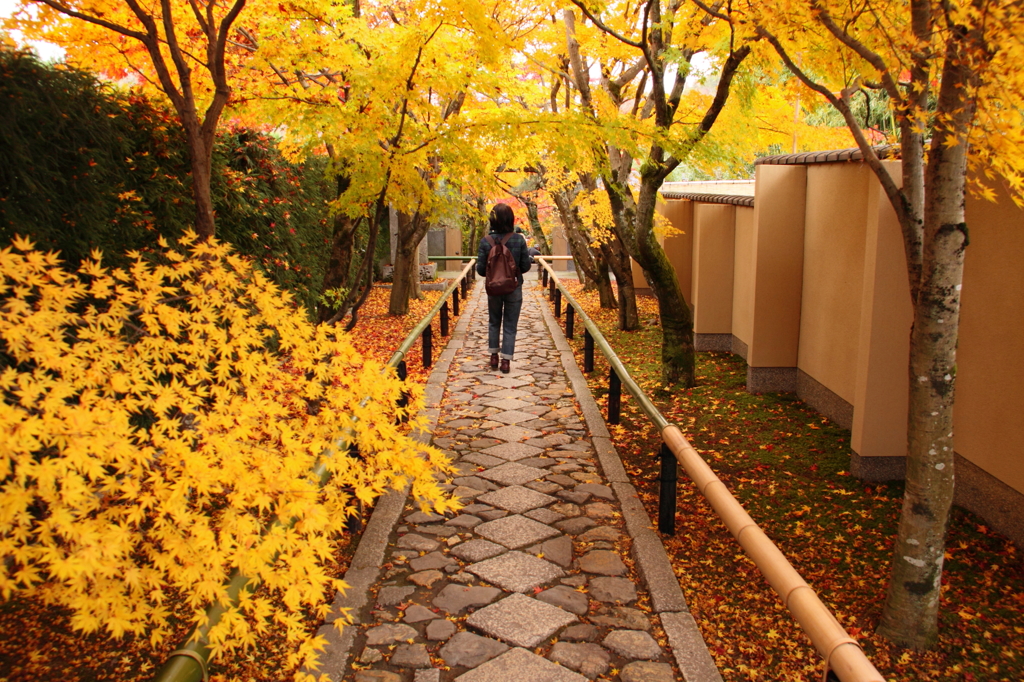 参道を歩く旅女