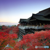 清水寺の覚醒