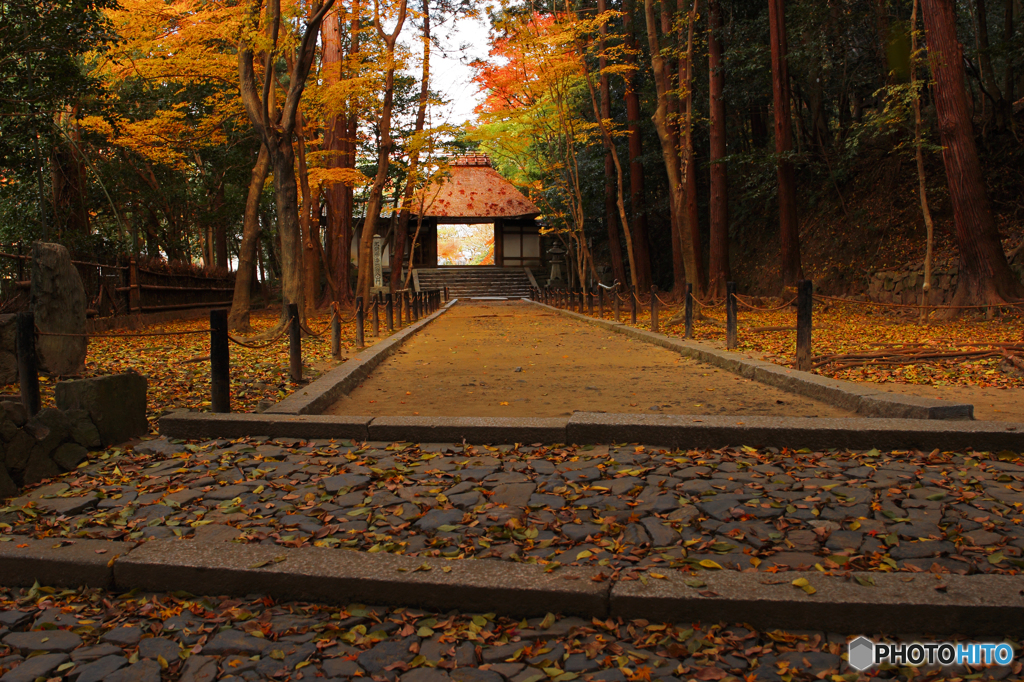 参道のある秋景