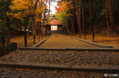 参道のある秋景