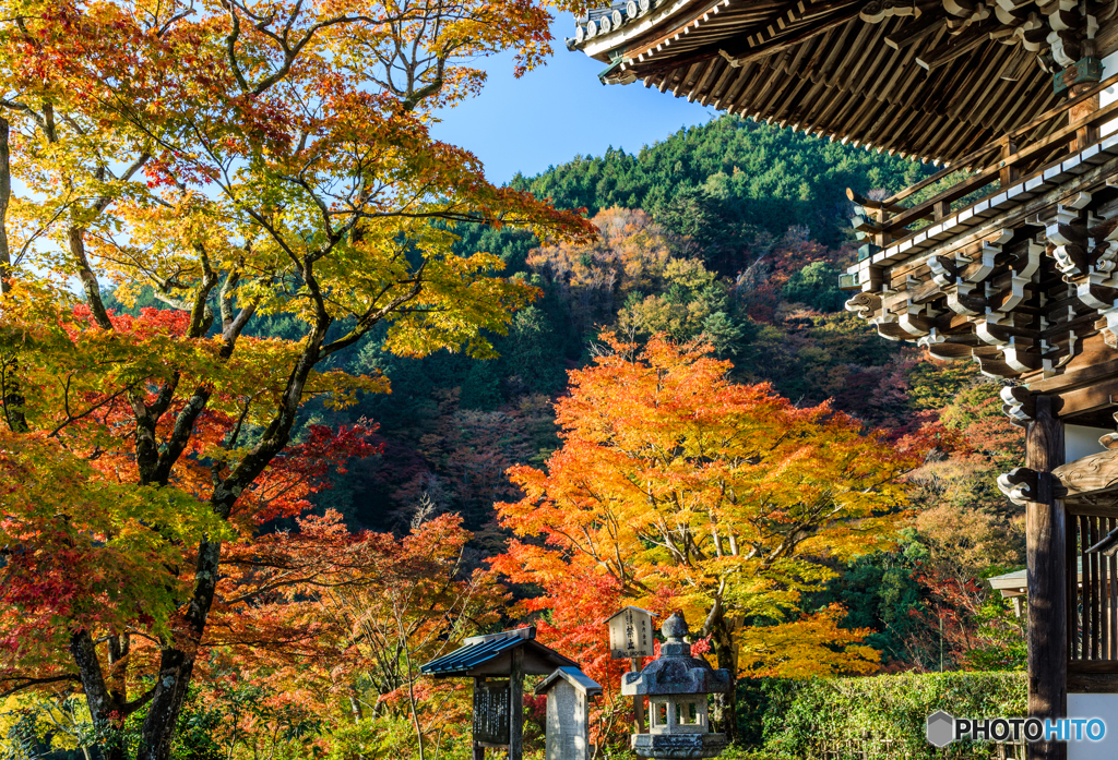 善峯寺山門