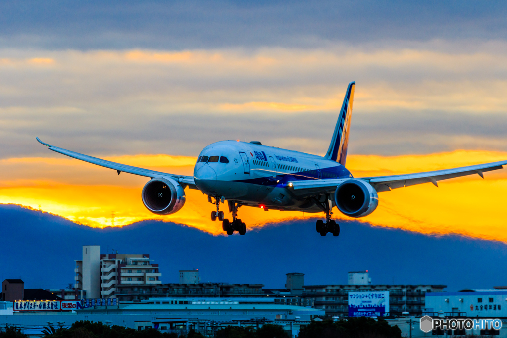 朝活一番機✈JA817A（1/18）