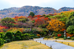 大乗閣の庭園