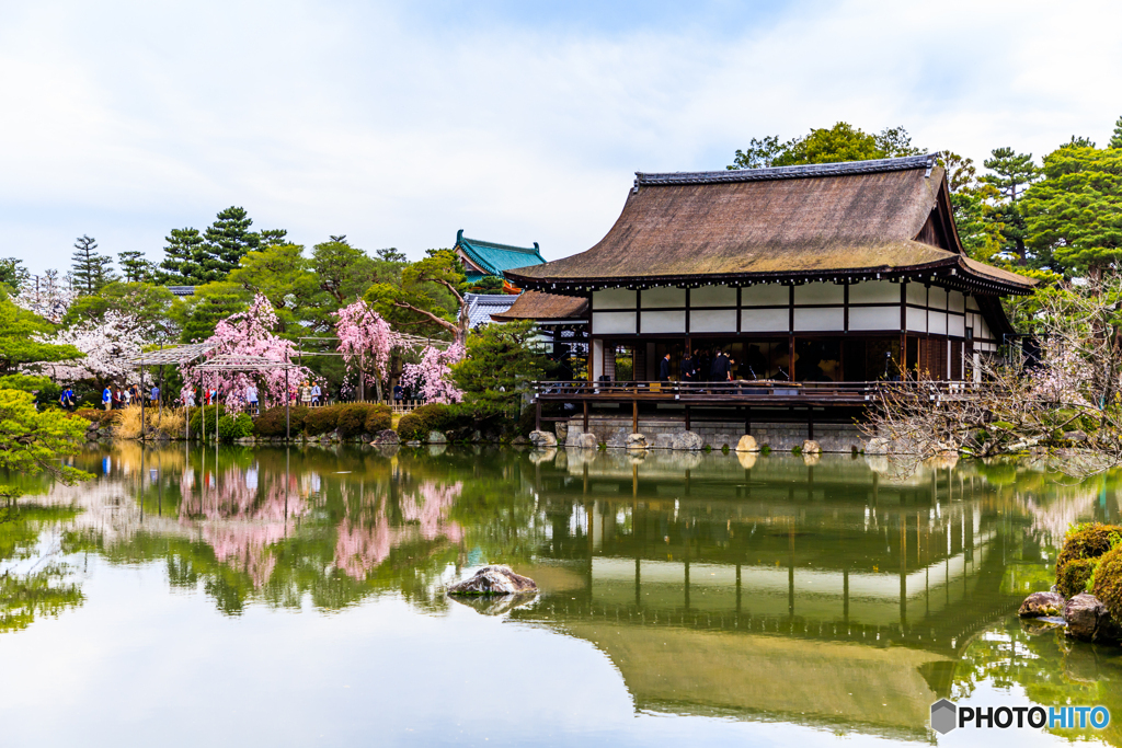 神苑の栖鳳池（３）