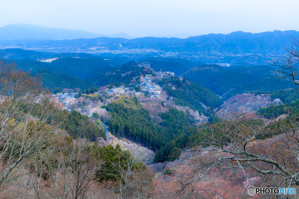 吉野山上千本桜