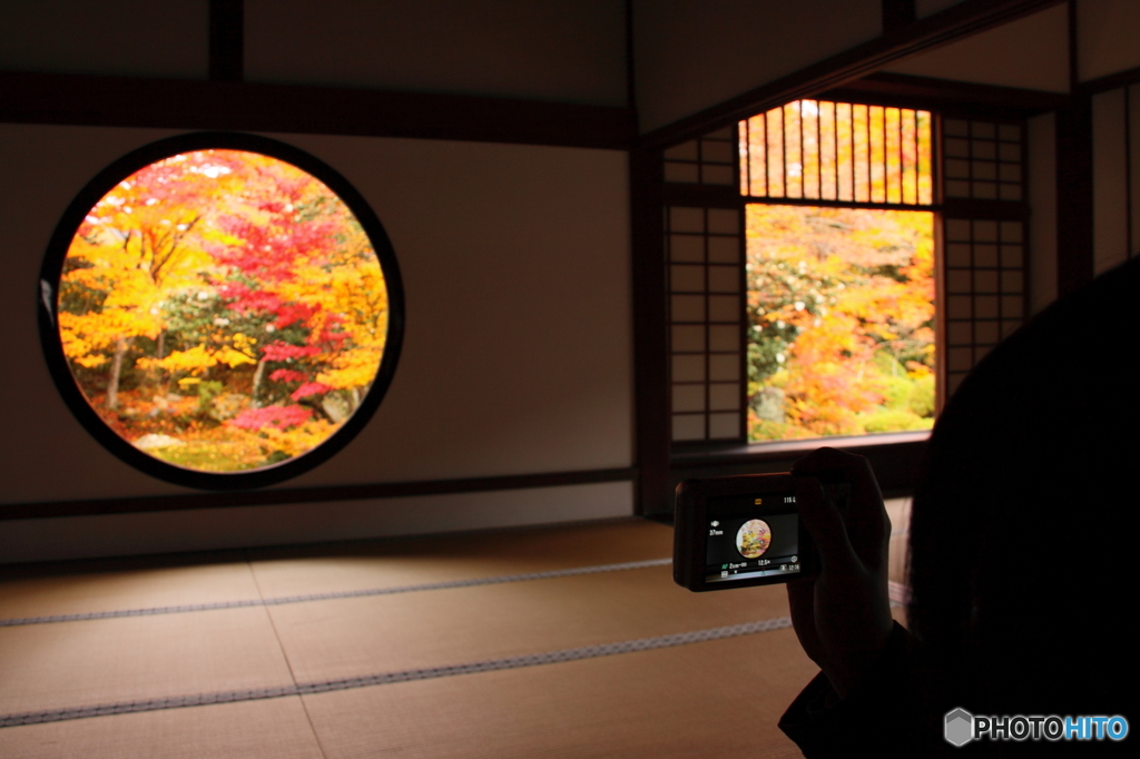 片手で悟る