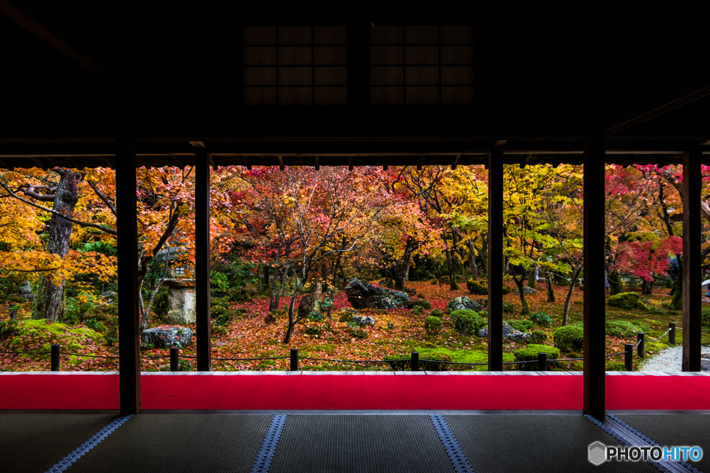 紅葉に染まる圓光寺
