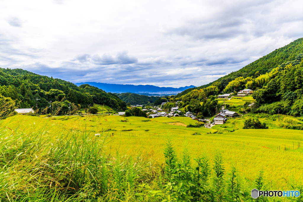秋景・細川の棚田