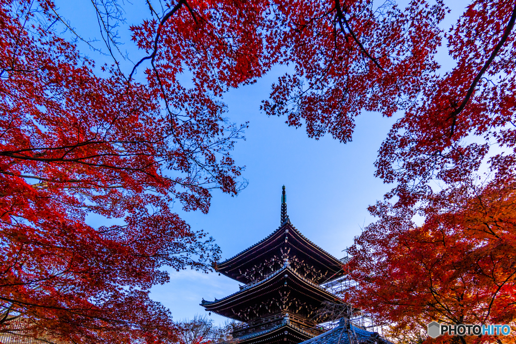 紅葉に包まれて