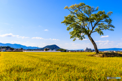 古宮土壇の秋景