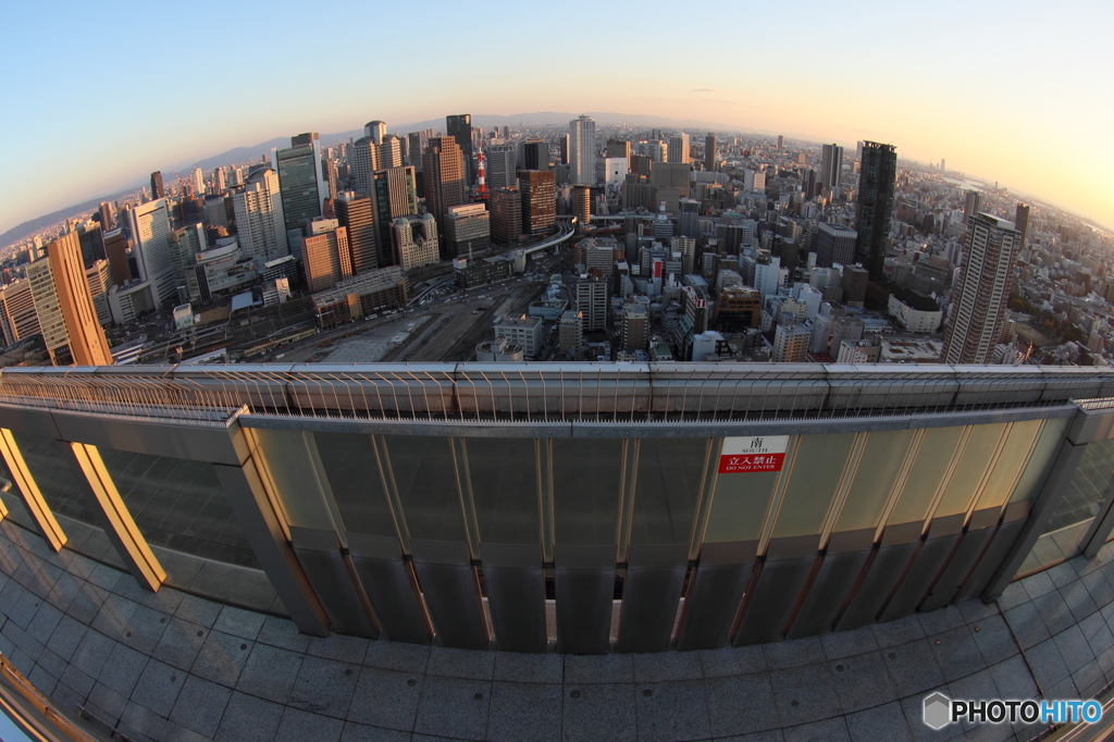 空中庭園の眺め