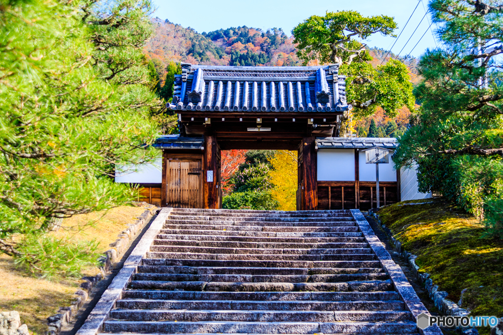 霊鑑寺の黄葉