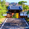 霊鑑寺の黄葉