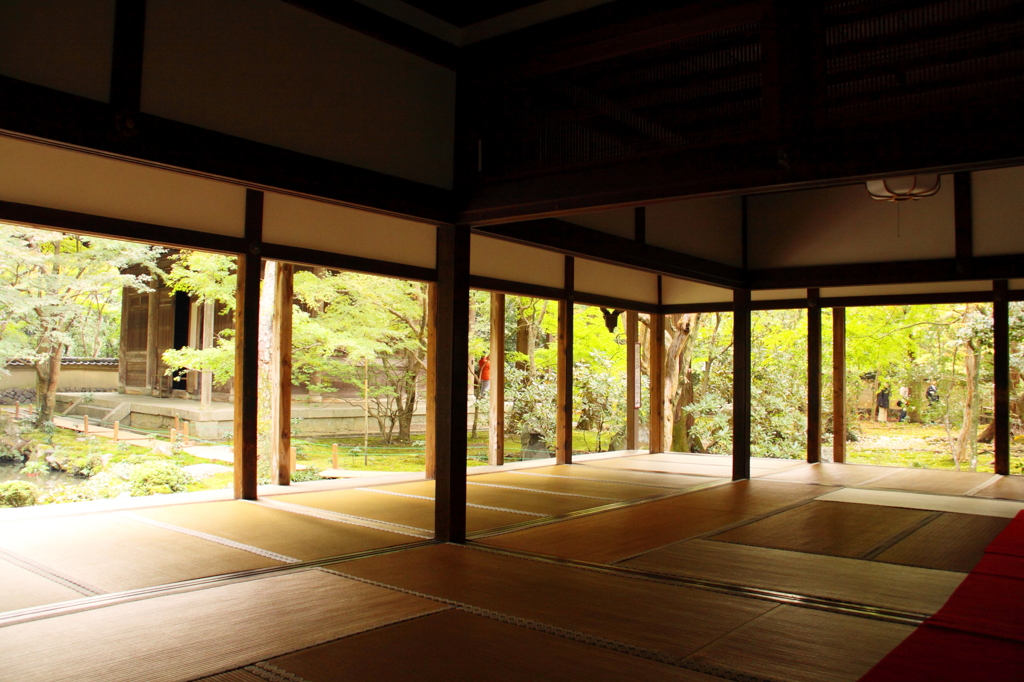 蓮華寺の緑葉