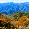 大峯山の紅葉