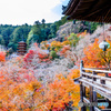 秋色の長谷寺