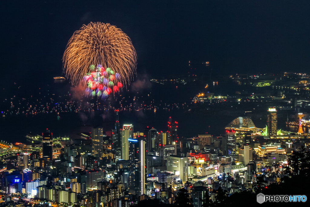 彩色千輪菊 in 神戸 2013